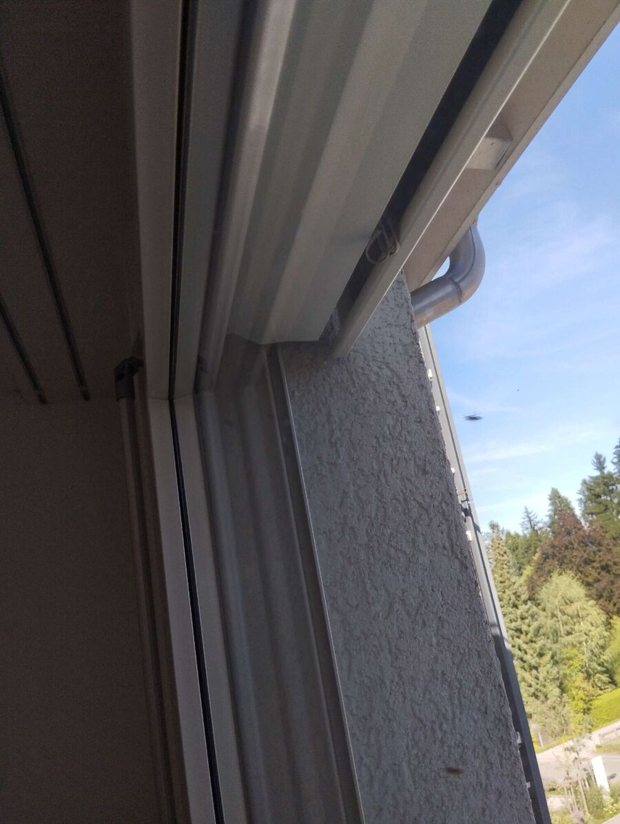  Bienennest entfernen.jpeg