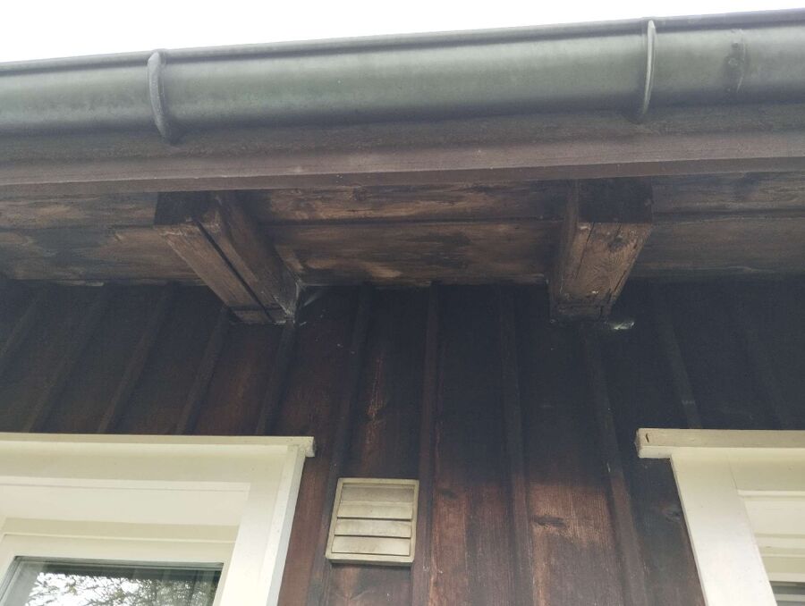  Bienennest entfernen