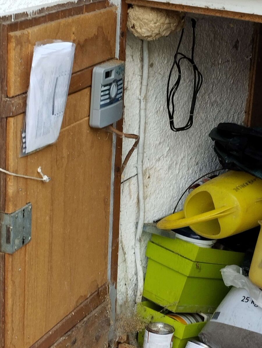  Bienennest entfernen