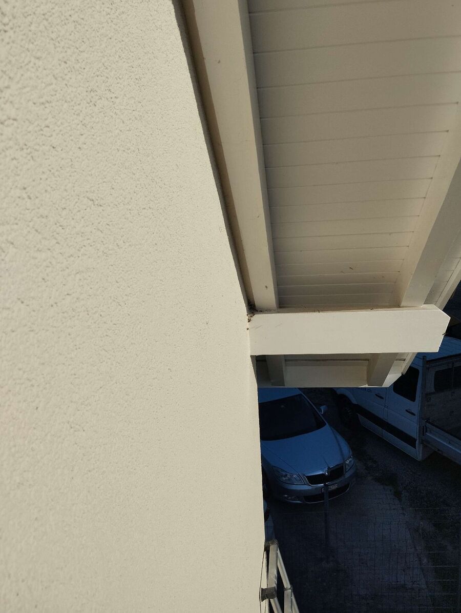  Bienennest entfernen