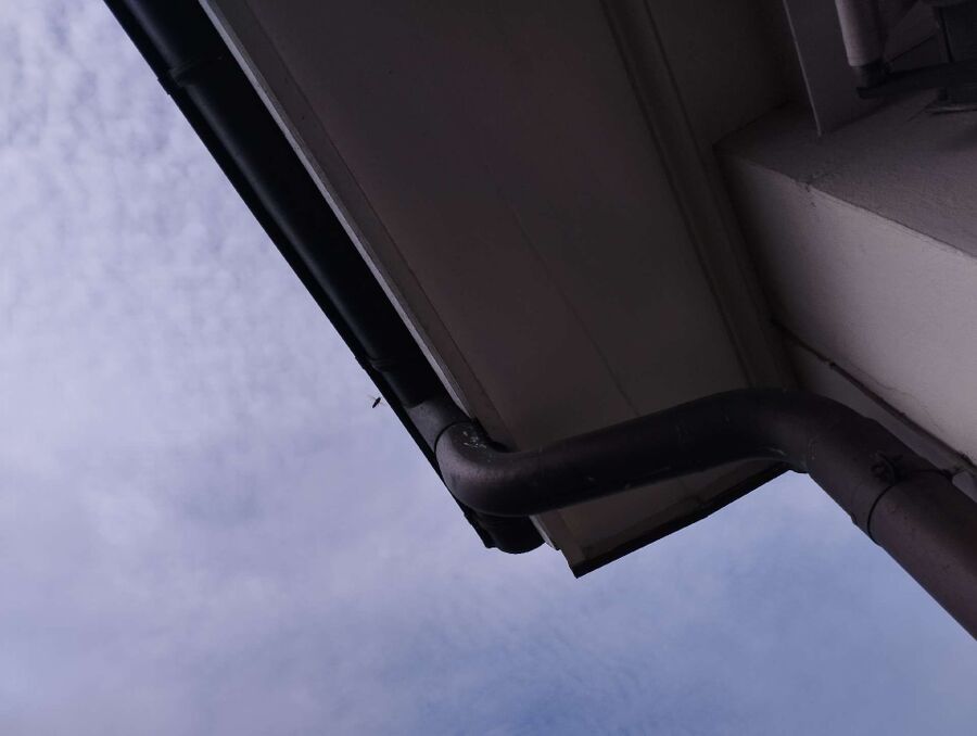  Bienennest entfernen.jpeg