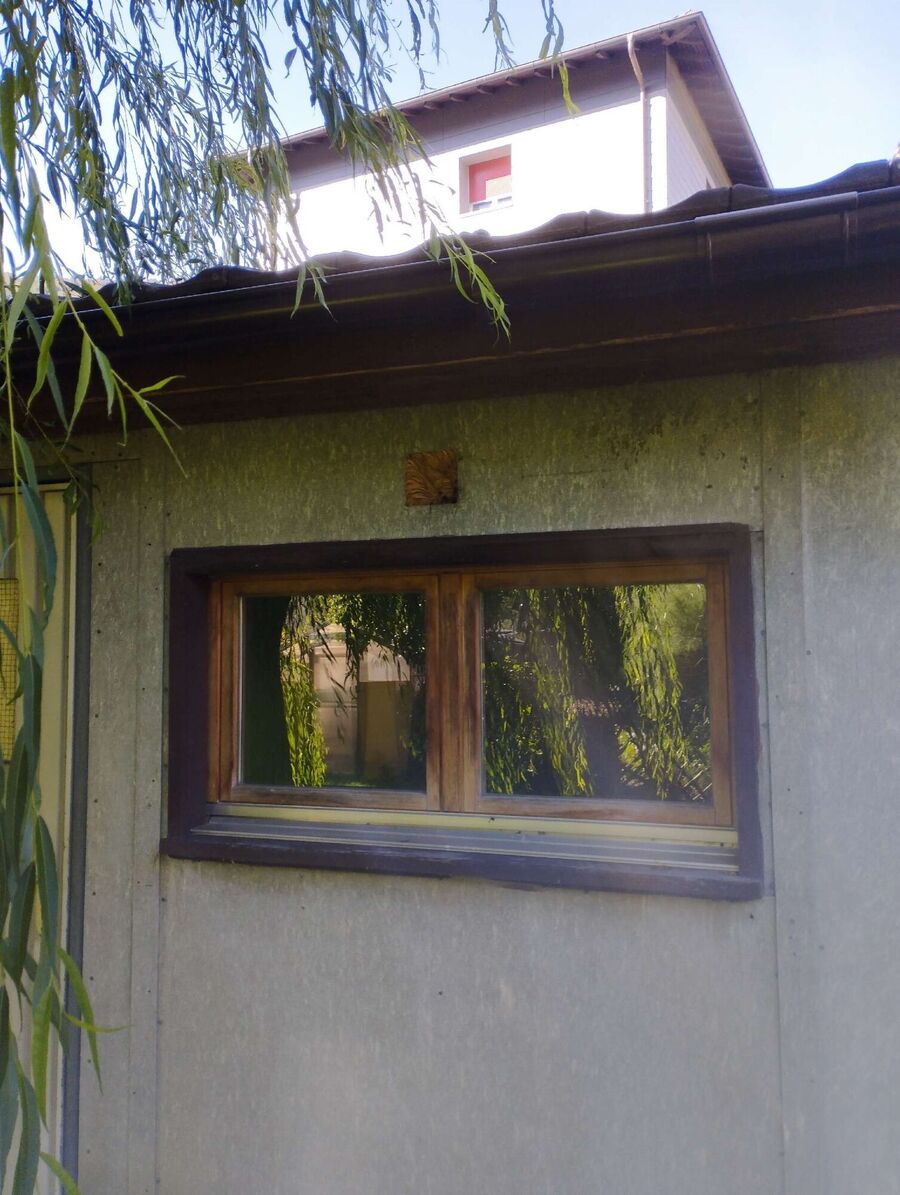 Bienen umsiedeln &  Bienennest entfernen 