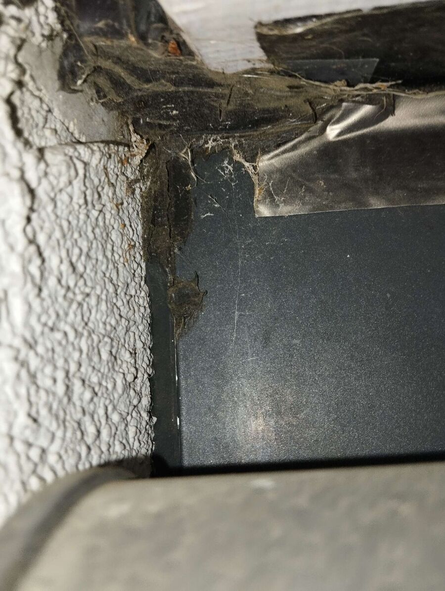  Bienennest entfernen