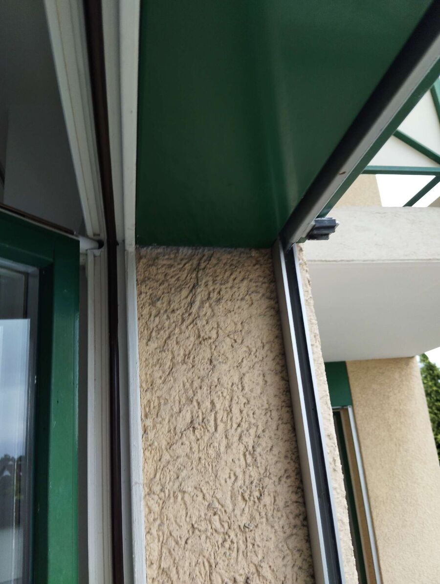 Bienen umsiedeln &  Bienennest entfernen 