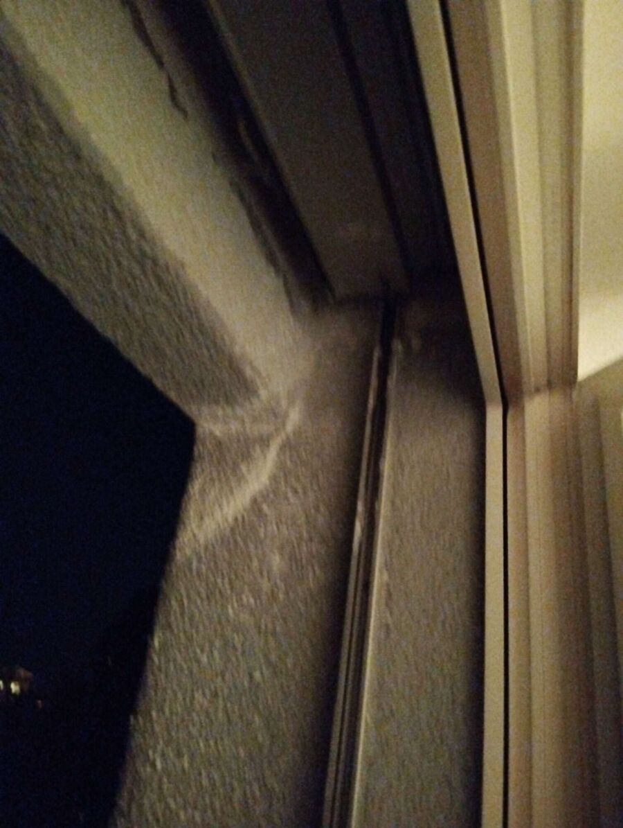  Bienennest entfernen.jpeg