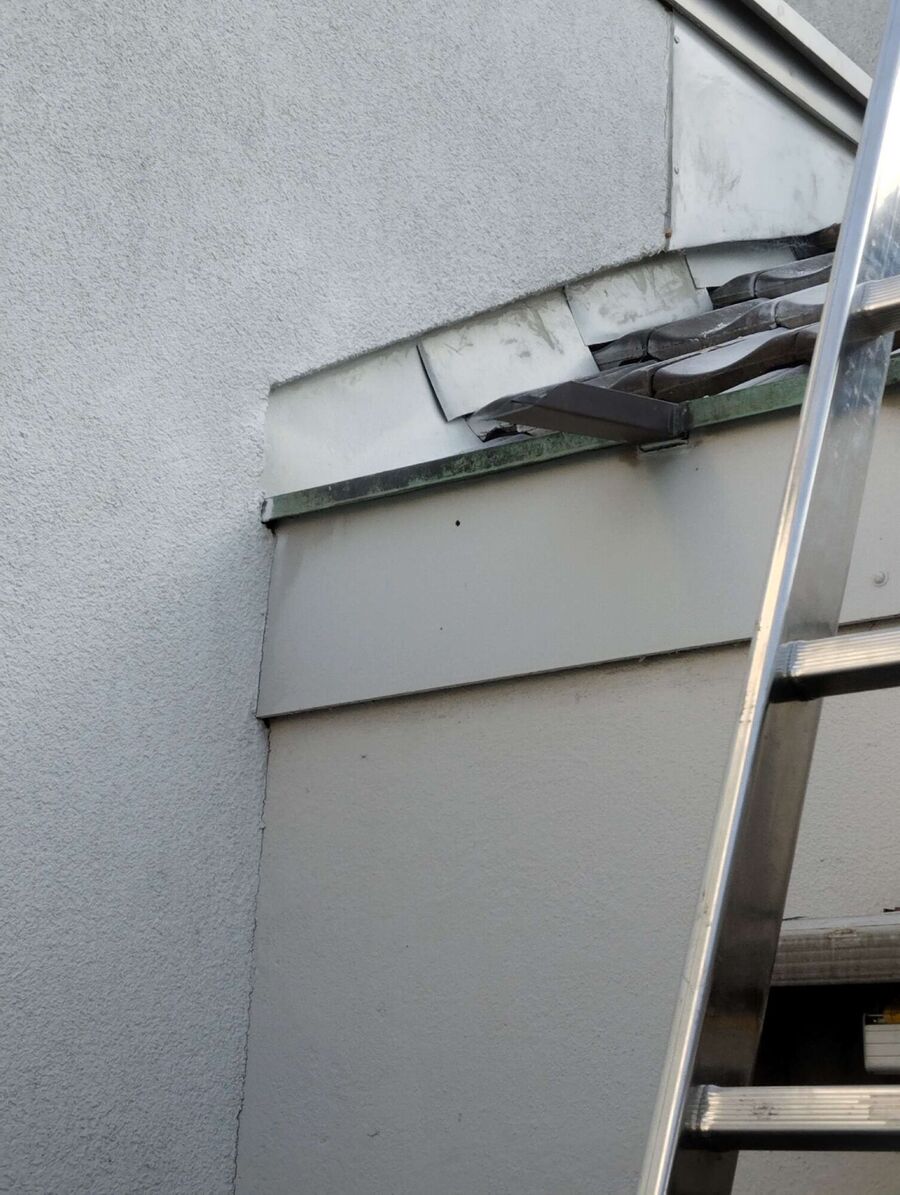  Bienennest entfernen.jpeg