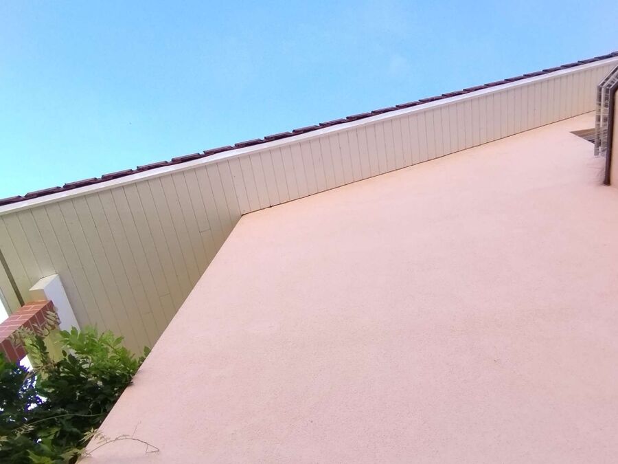  Bienennest entfernen