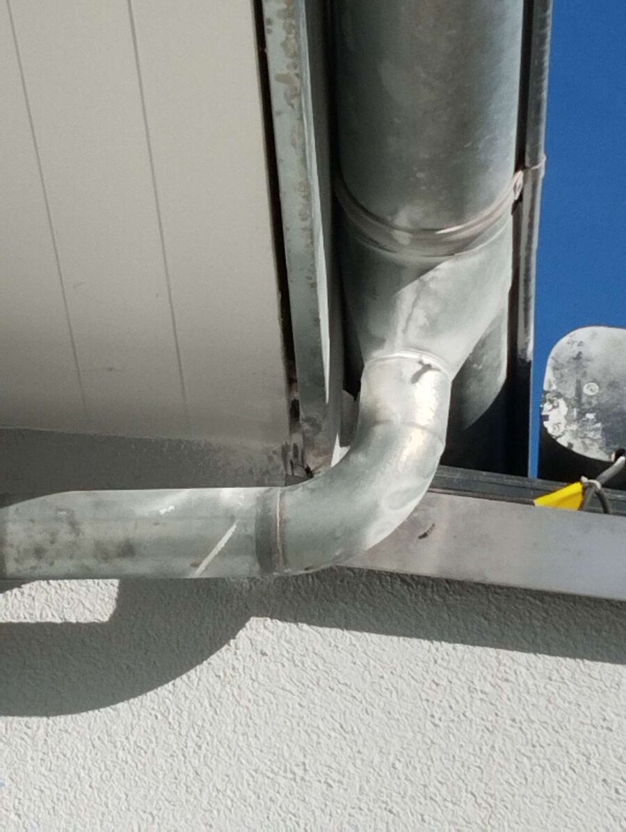 Bienen umsiedeln &  Bienennest entfernen 