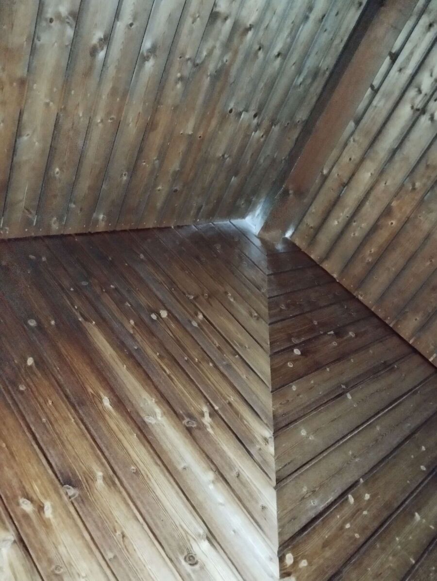 Bienen umsiedeln &  Bienennest entfernen 