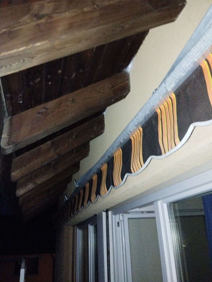 Bienen umsiedeln &  Bienennest entfernen 