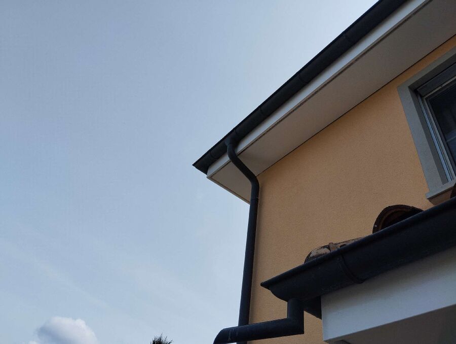 Bienen umsiedeln &  Bienennest entfernen 