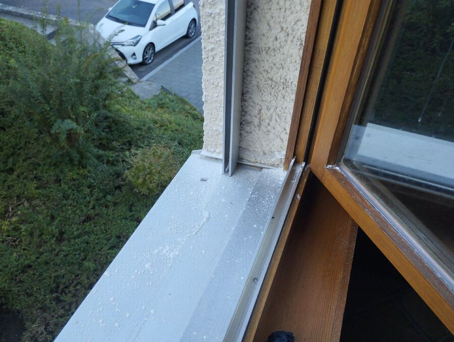  Bienennest entfernen.jpeg