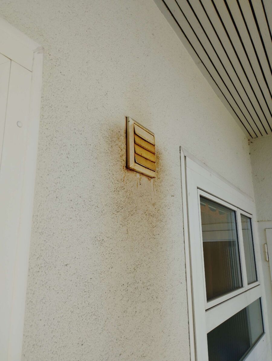  Bienennest entfernen.jpeg