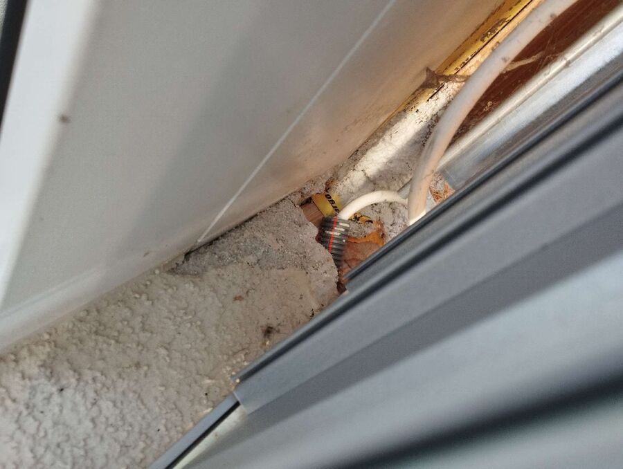  Bienennest entfernen.jpeg