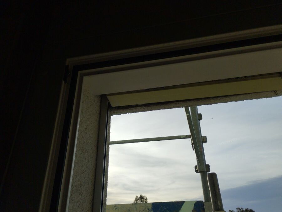  Bienennest entfernen.jpeg