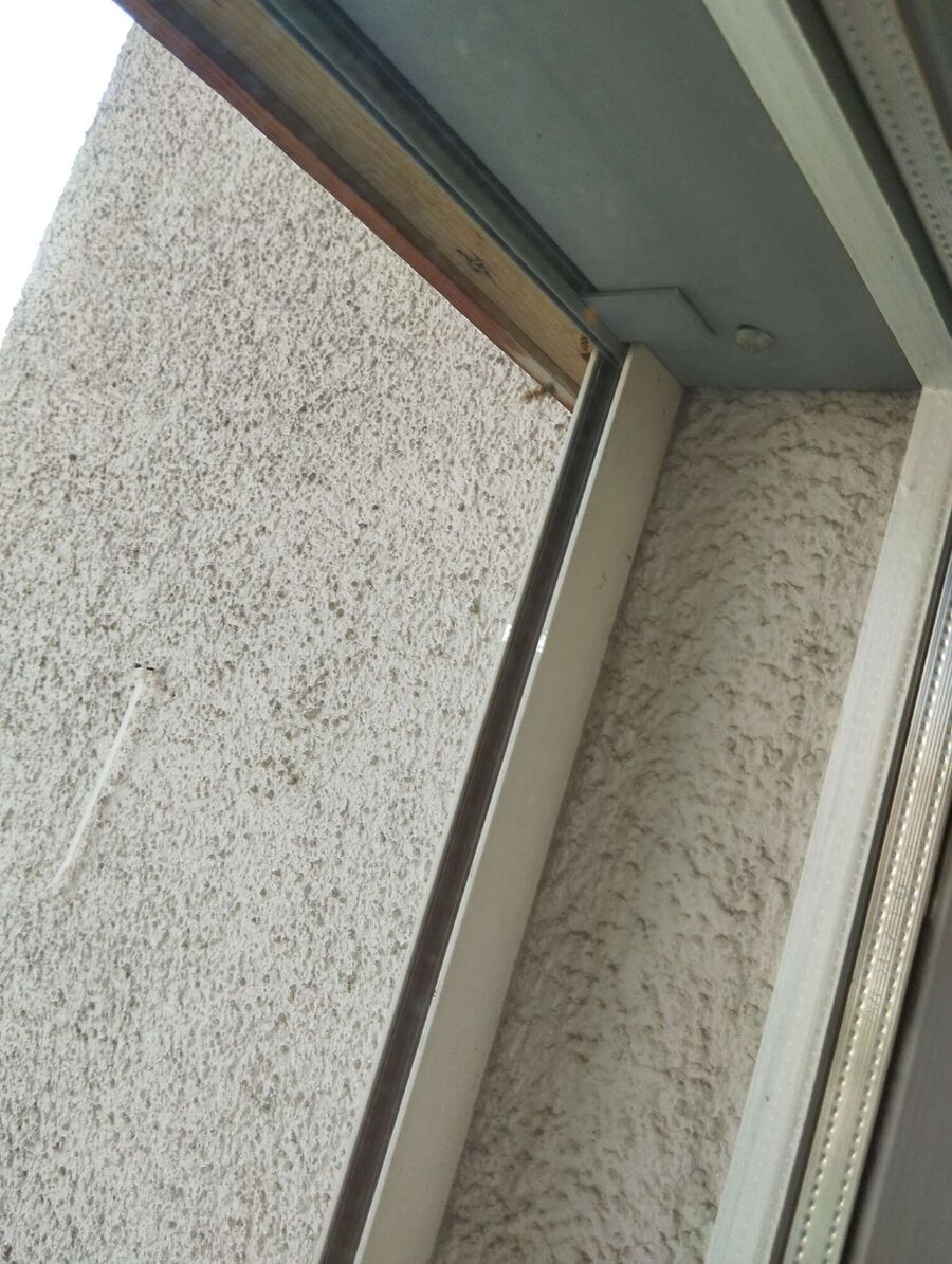  Bienennest entfernen