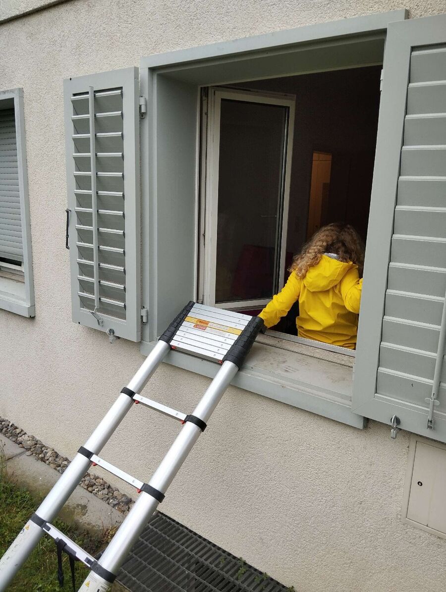  Bienennest entfernen.jpeg