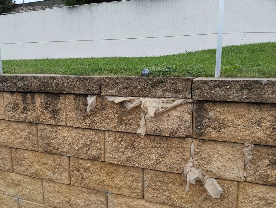  Bienennest entfernen.jpeg