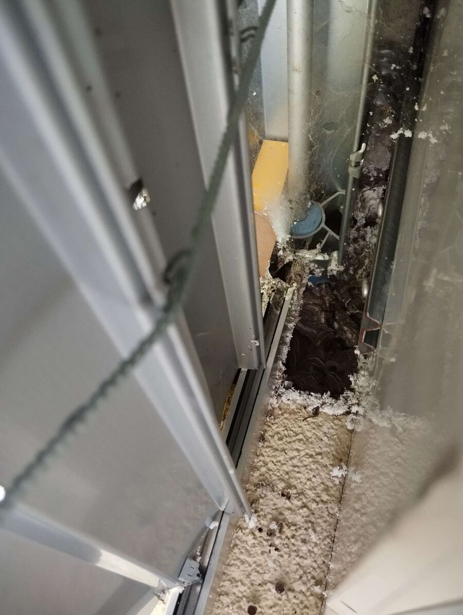  Bienennest entfernen