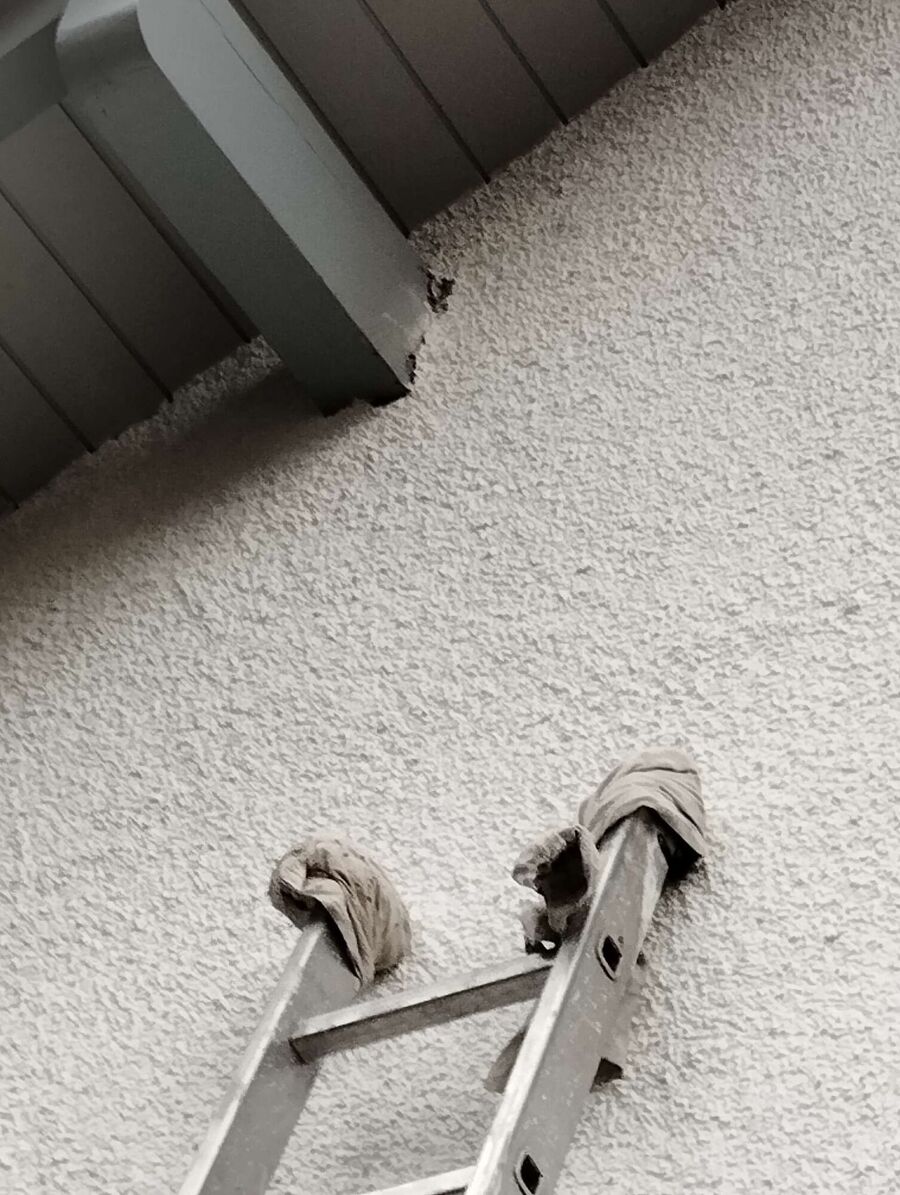  Bienennest entfernen