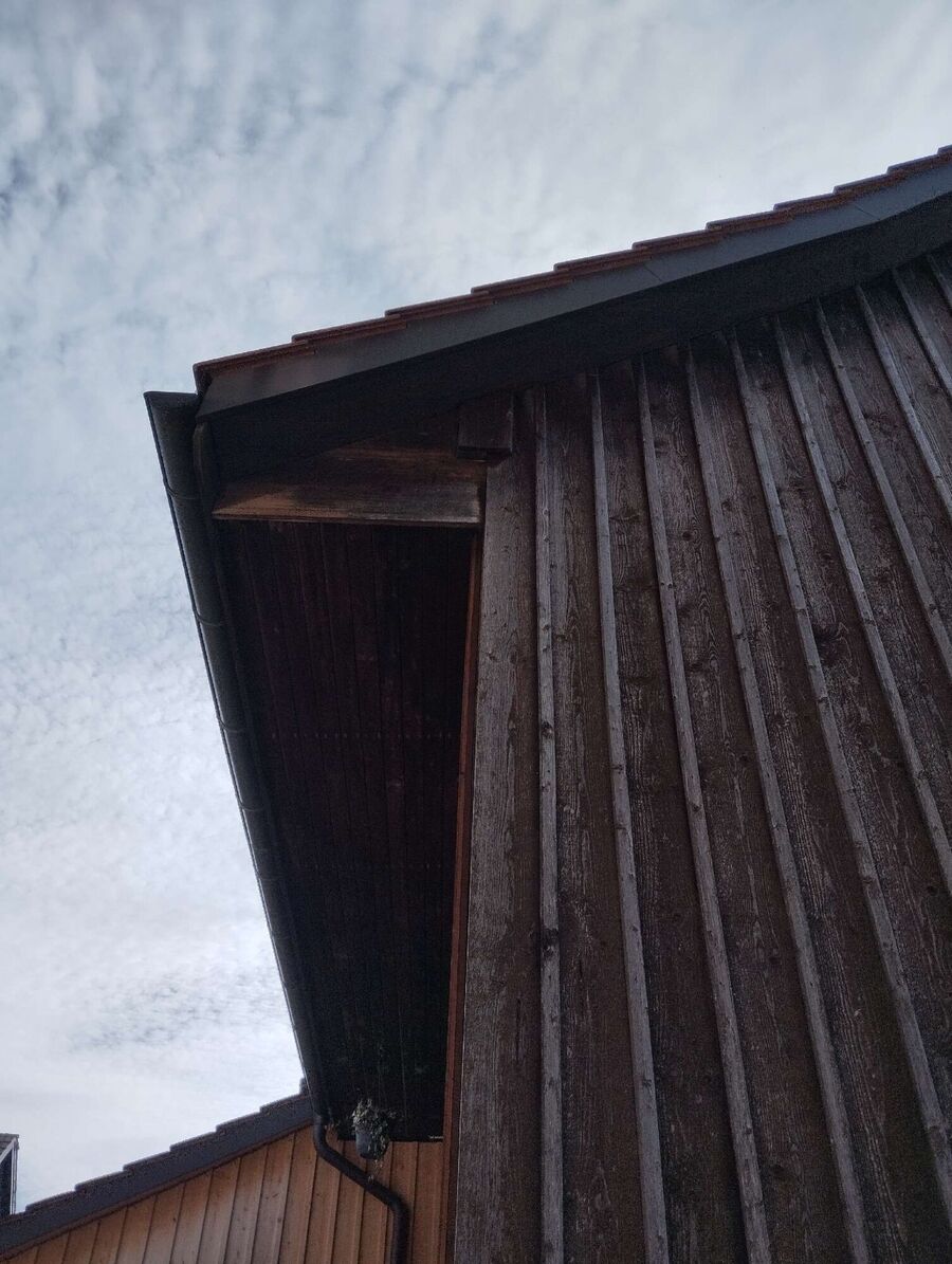  Bienennest entfernen