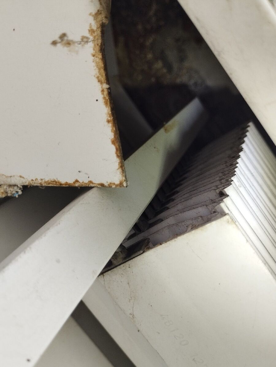  Bienennest entfernen.jpeg