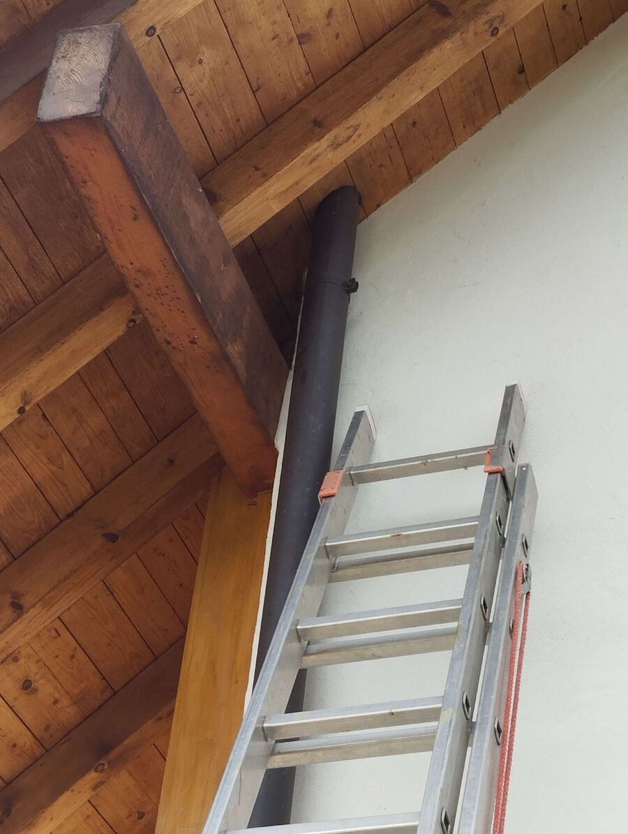 Bienen umsiedeln &  Bienennest entfernen 