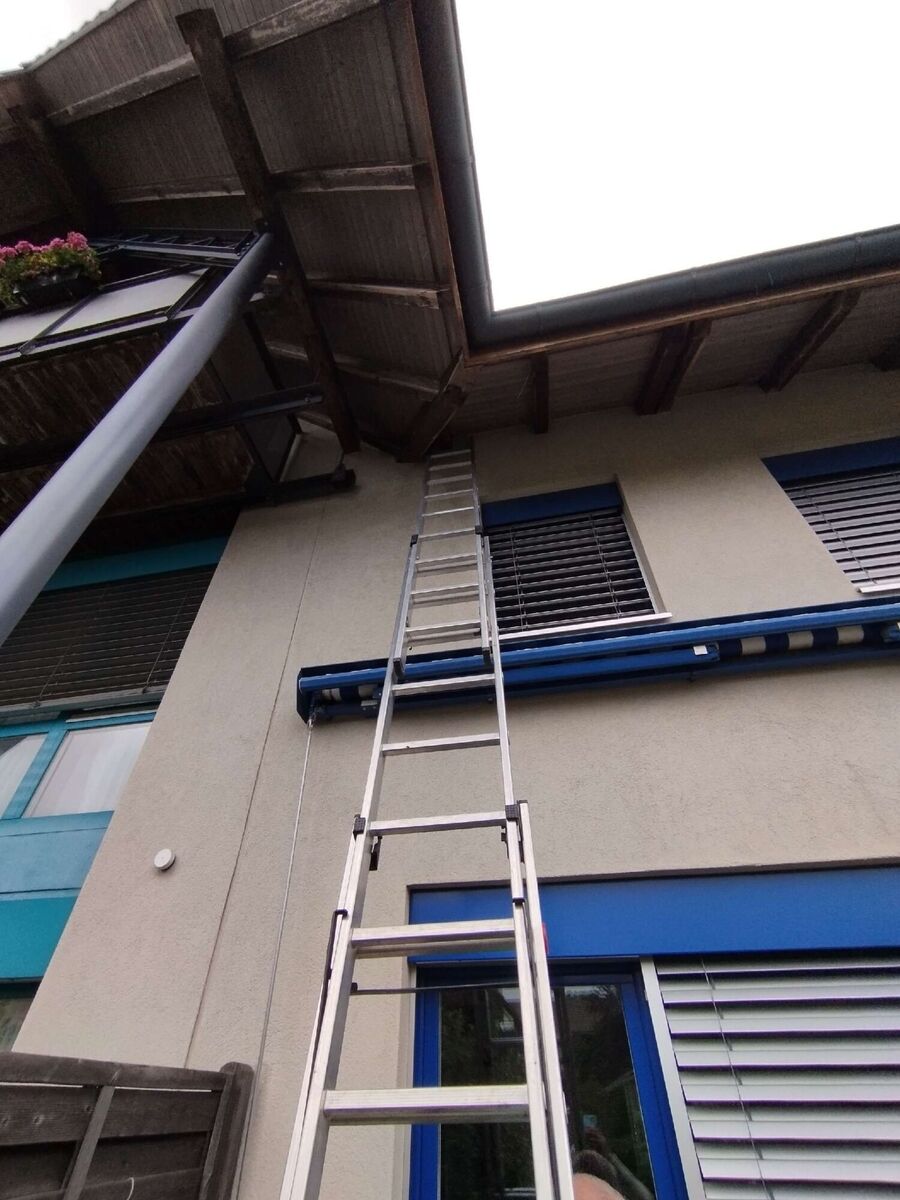  Bienennest entfernen.jpeg