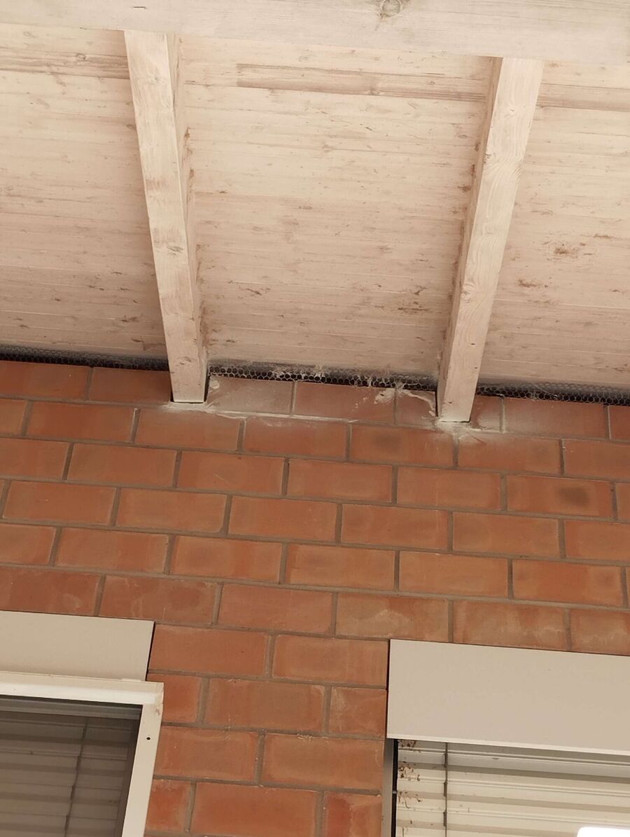 Bienen umsiedeln &  Bienennest entfernen 