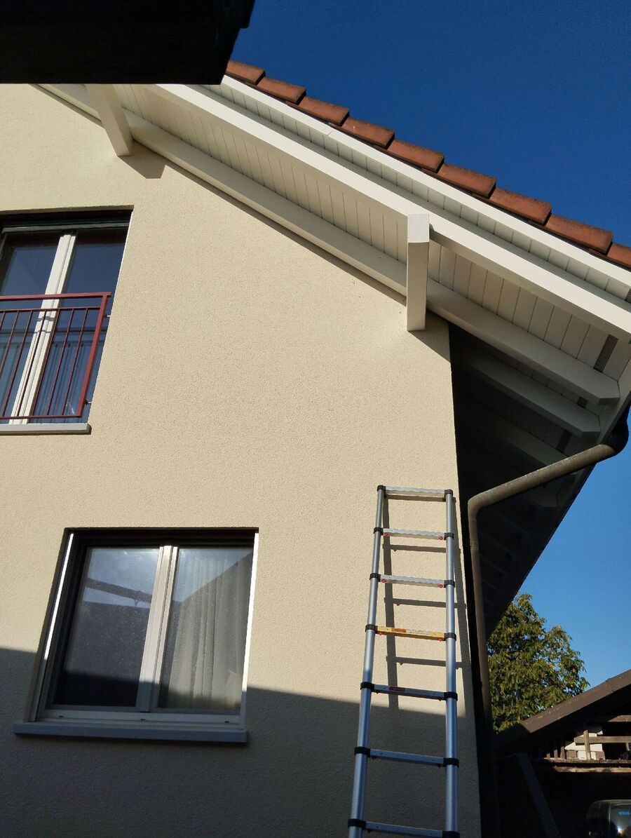  Bienennest entfernen.jpeg