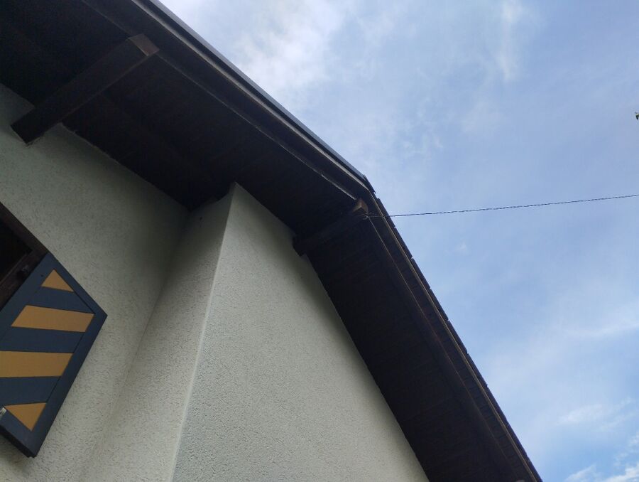  Bienennest entfernen