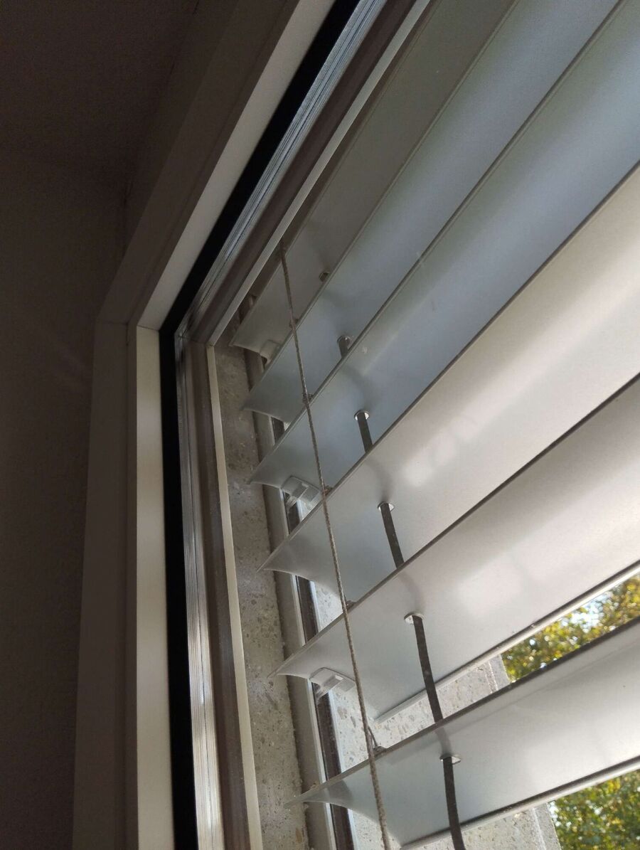 Bienen umsiedeln &  Bienennest entfernen 