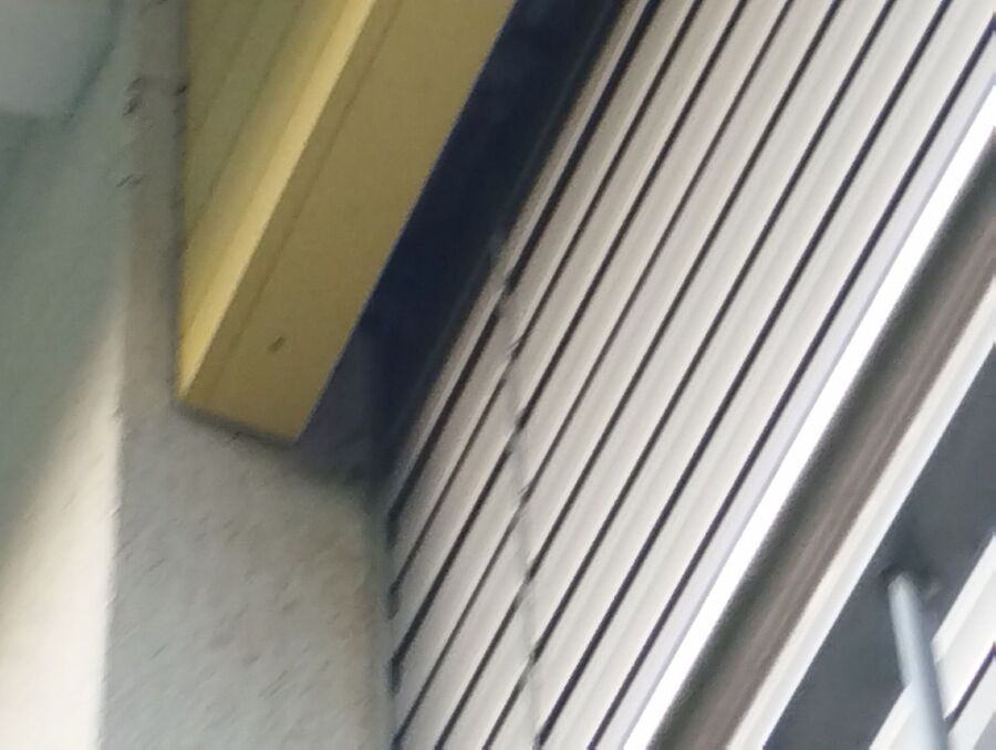  Bienennest entfernen