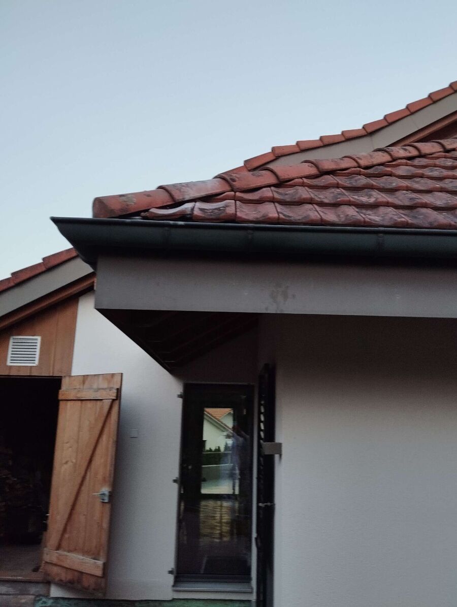  Bienennest entfernen