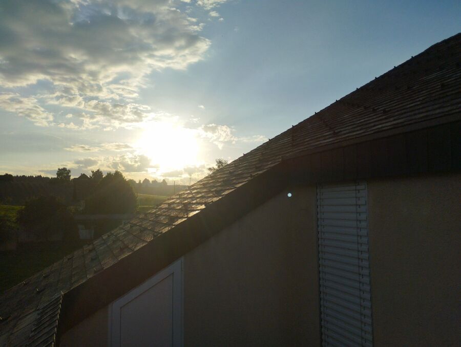  Bienennest entfernen