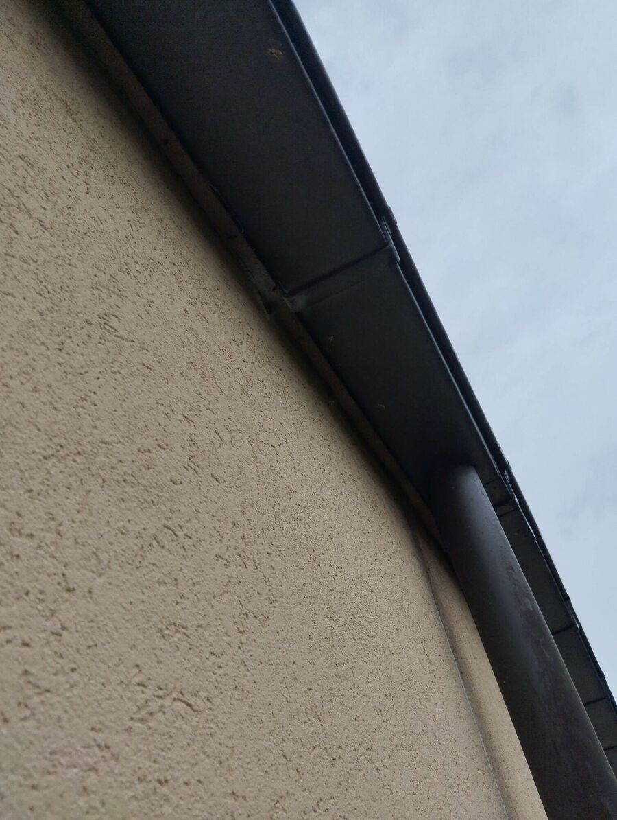 Bienen umsiedeln &  Bienennest entfernen 