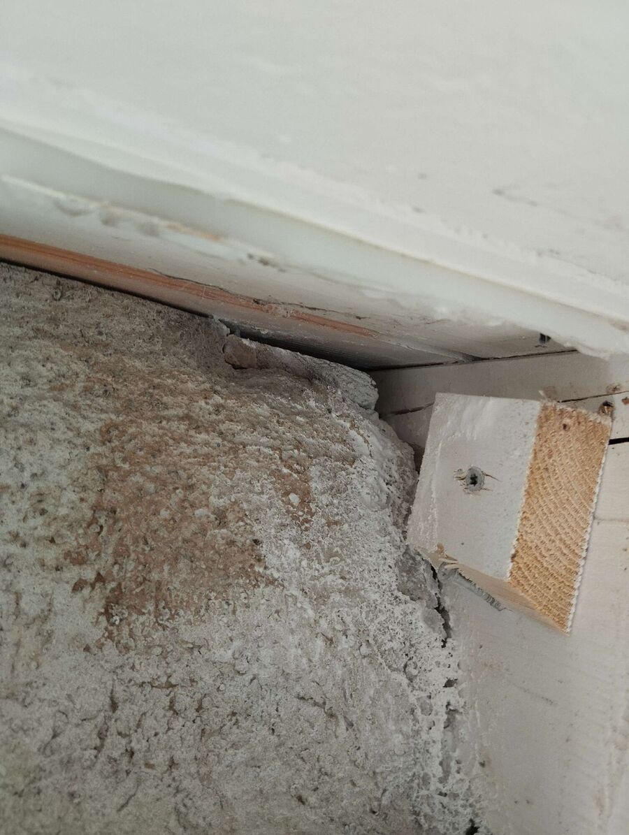  Bienennest entfernen