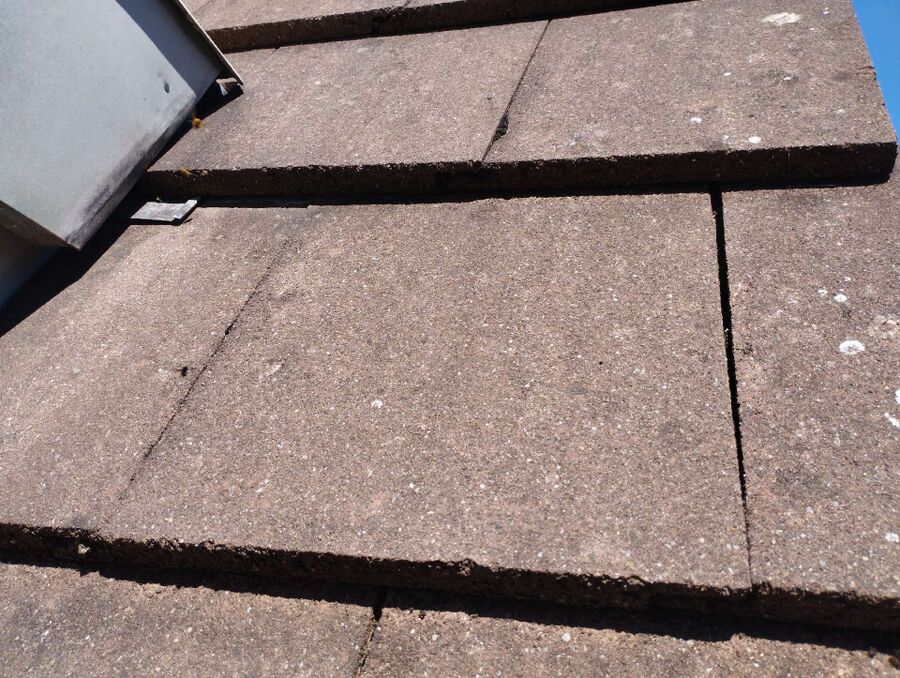  Bienennest entfernen.jpeg