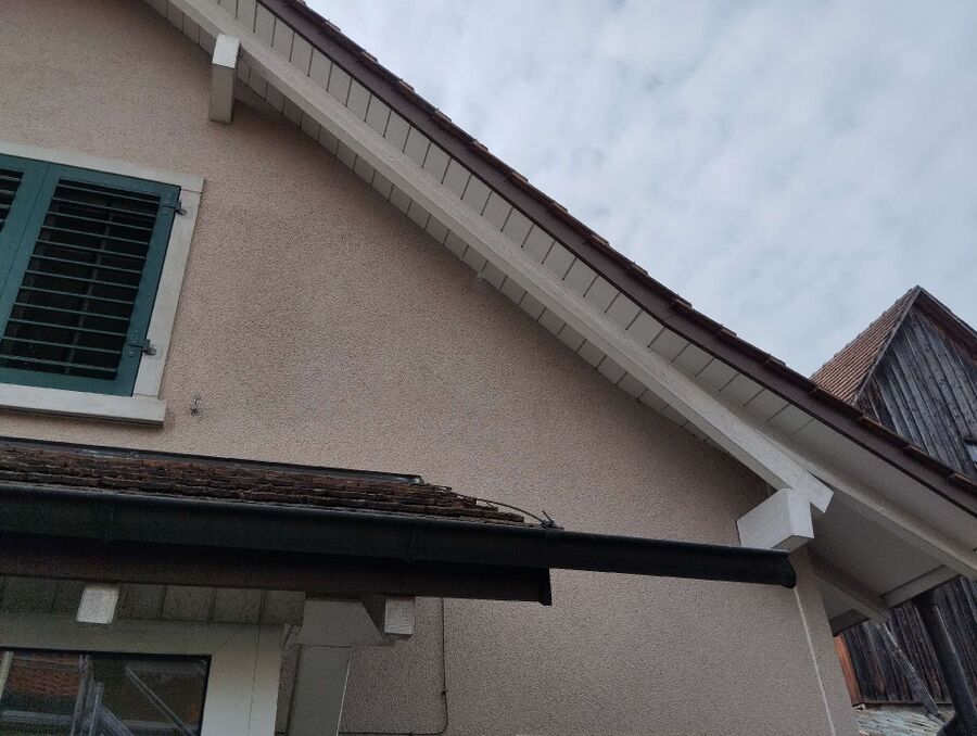  Bienennest entfernen