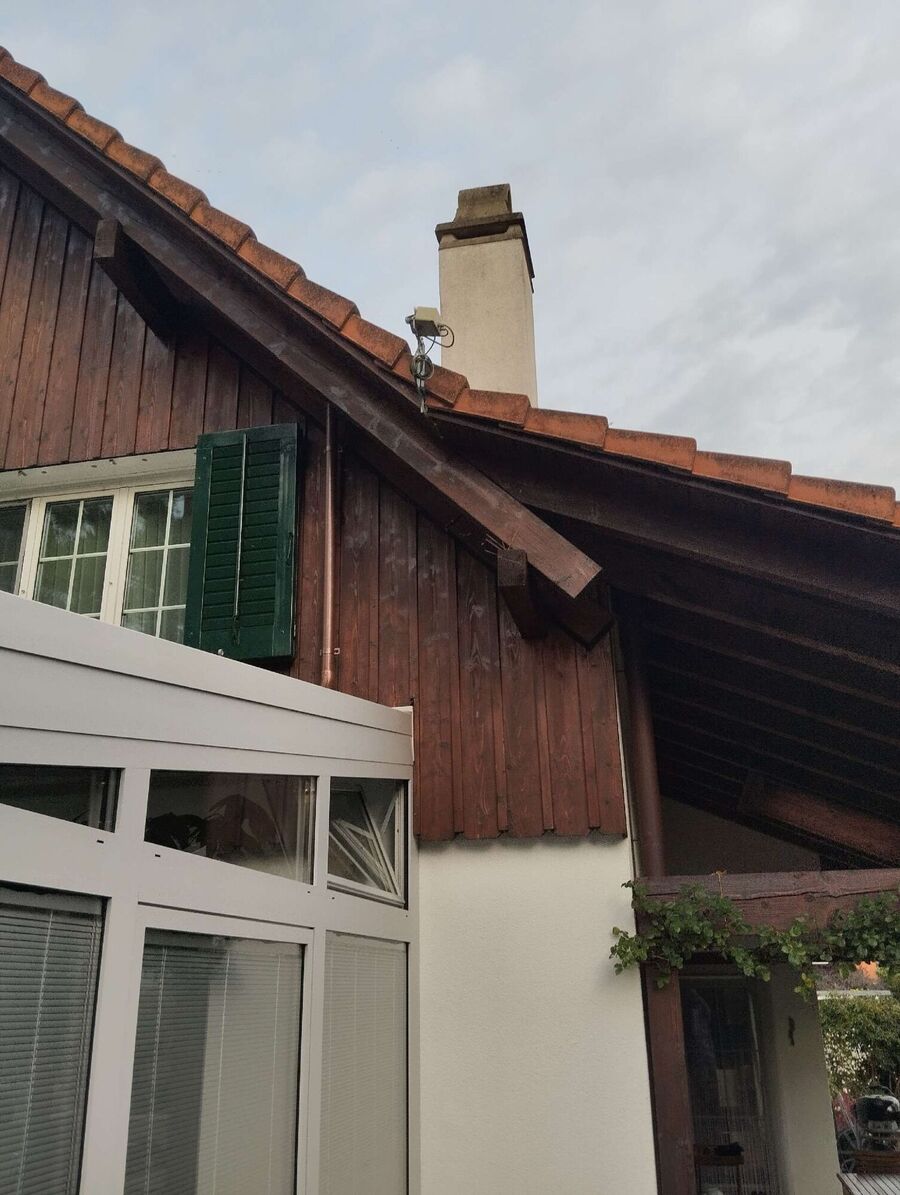  Bienennest entfernen.jpeg