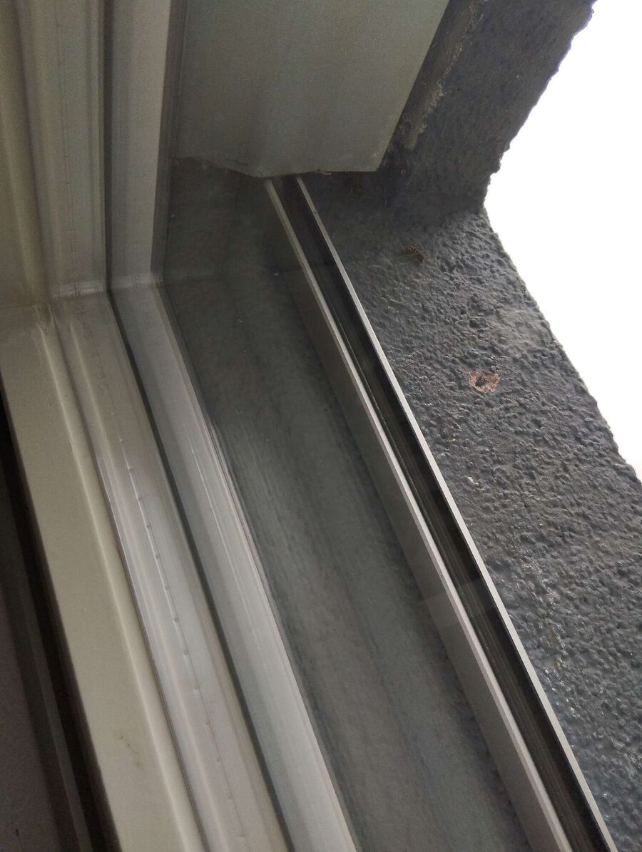 Bienen umsiedeln &  Bienennest entfernen 