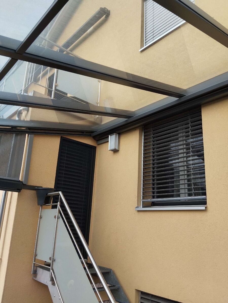  Bienennest entfernen.jpeg