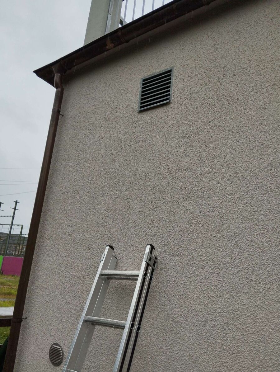  Bienennest entfernen