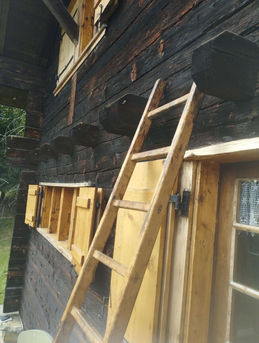  Bienennest entfernen