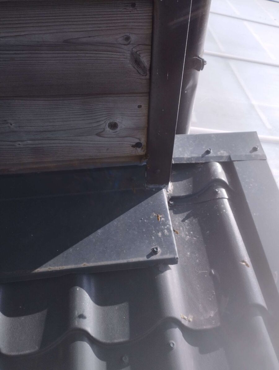  Bienennest entfernen.jpeg