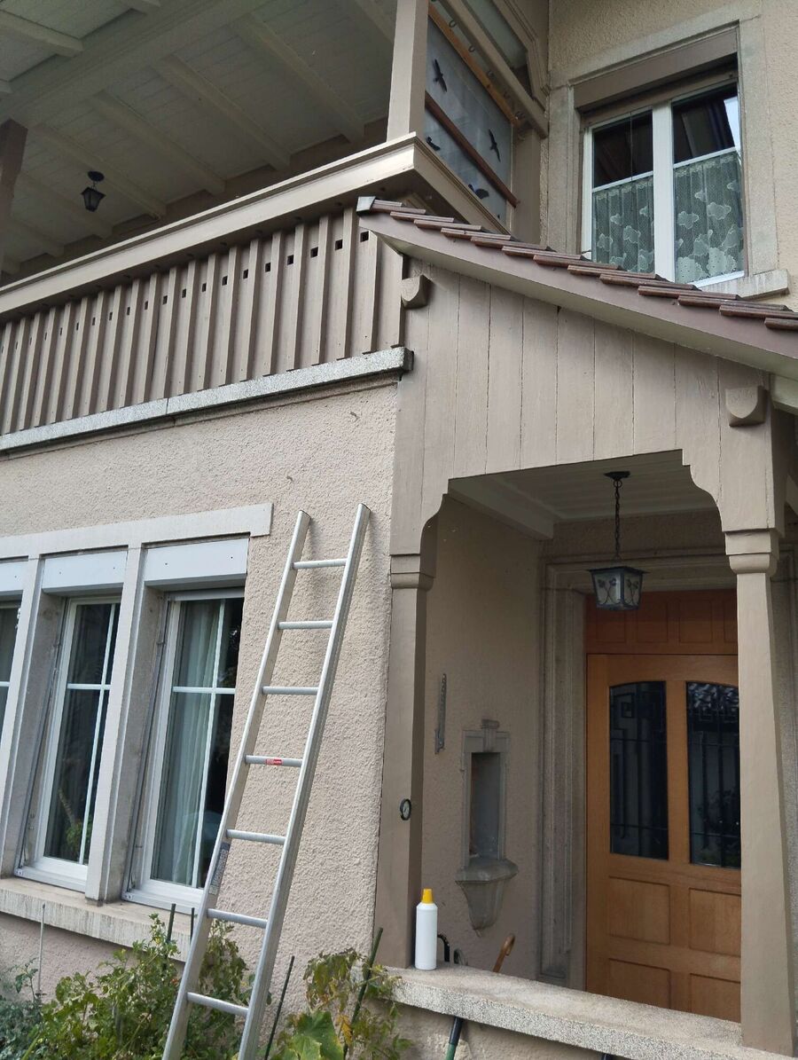  Bienennest entfernen