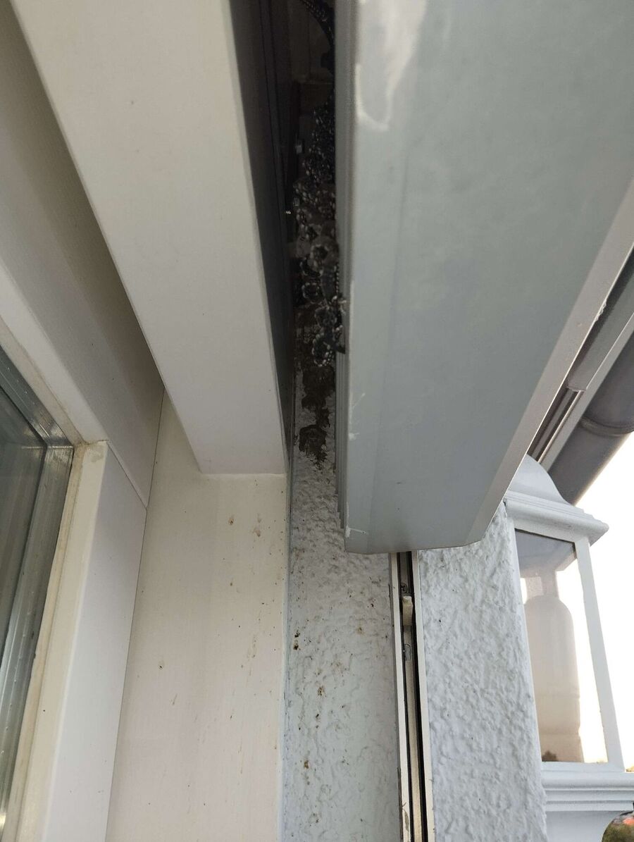  Bienennest entfernen