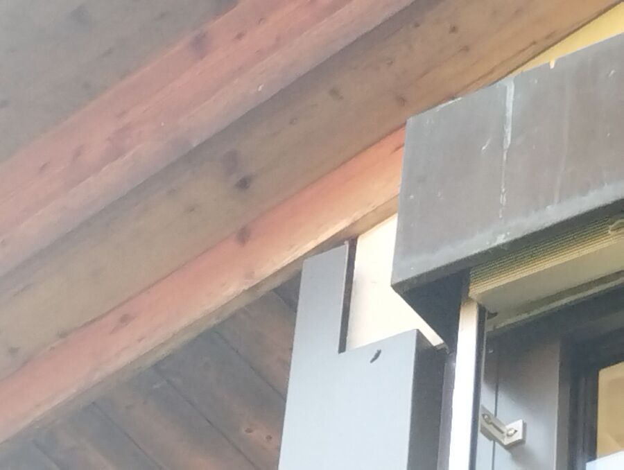  Bienennest entfernen