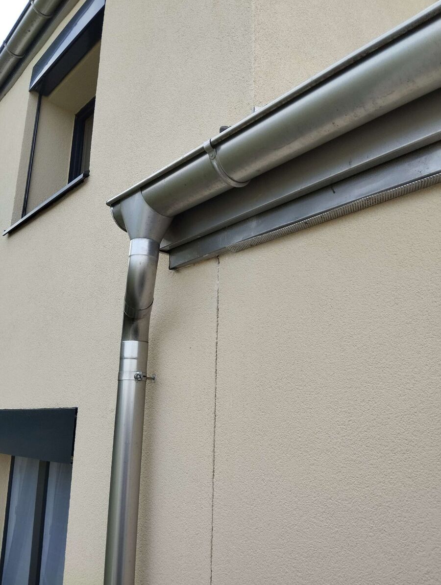 Bienen umsiedeln &  Bienennest entfernen 