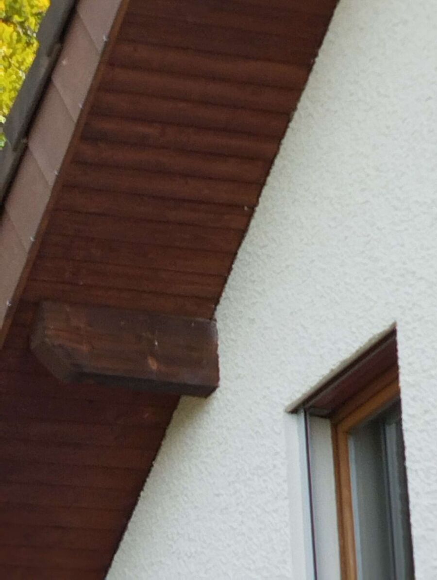  Bienennest entfernen.jpeg